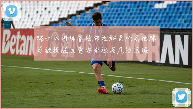 瑞士队训练基地邻近蛇类栖息地球员被提醒注意安全远离危险区域