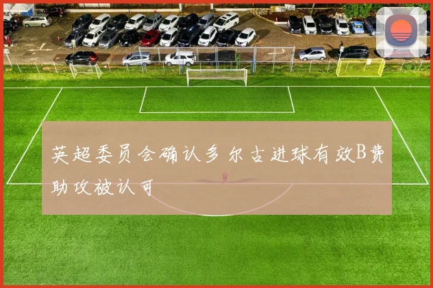 英超委员会确认多尔古进球有效B费助攻被认可
